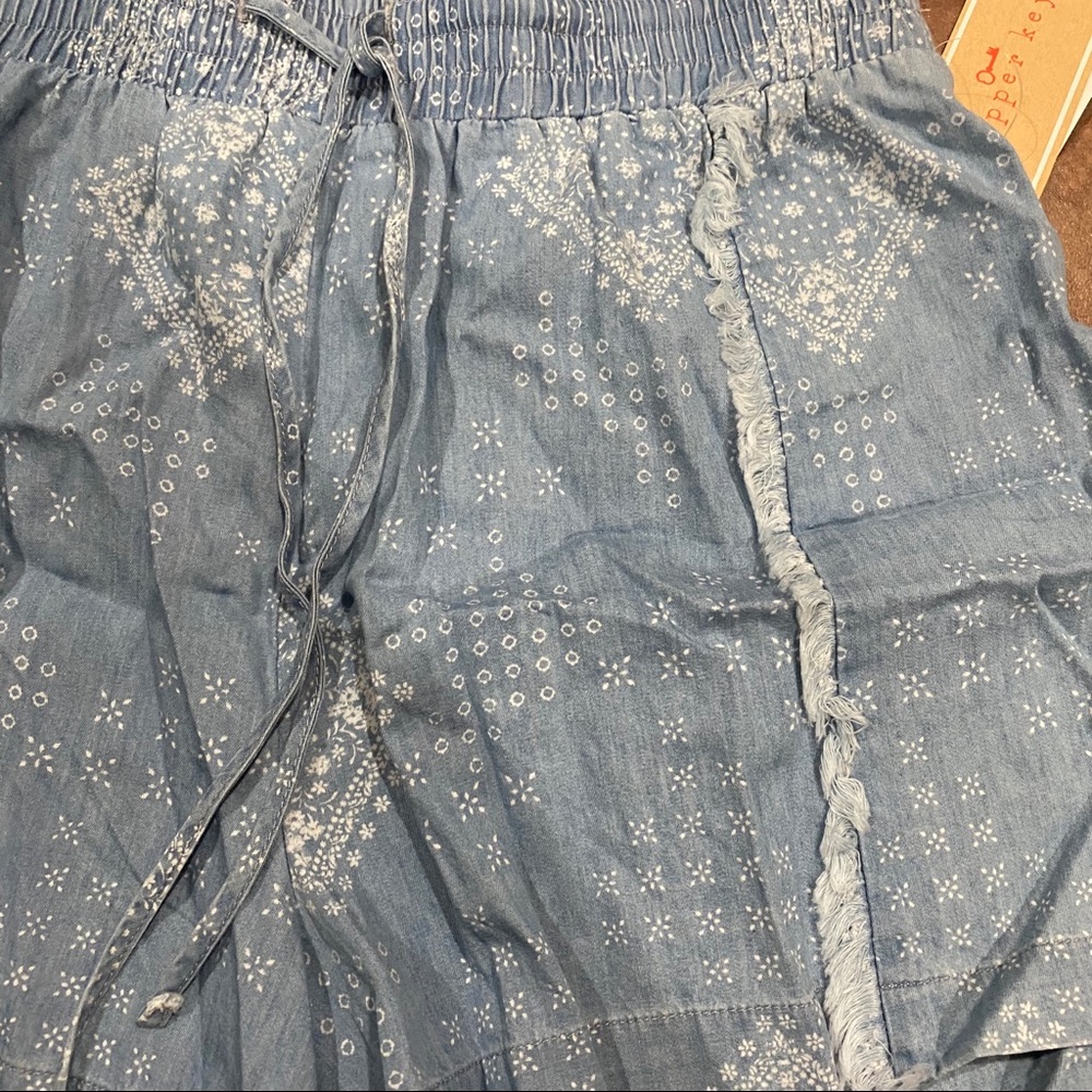 Copper Key Blue Shorts - Picture 3 of 6
